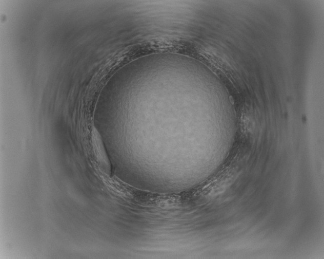 X0000073860865200608101248