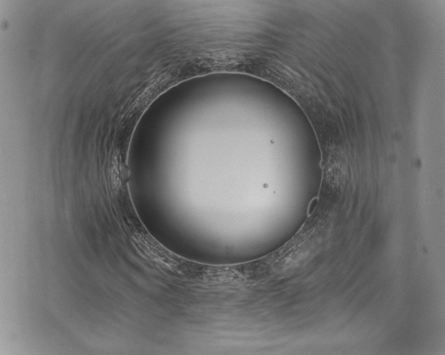 X0000073860866200608101248