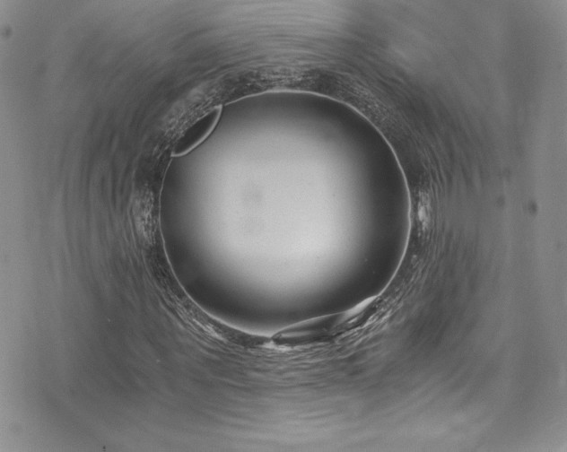 X0000073860867200608101248