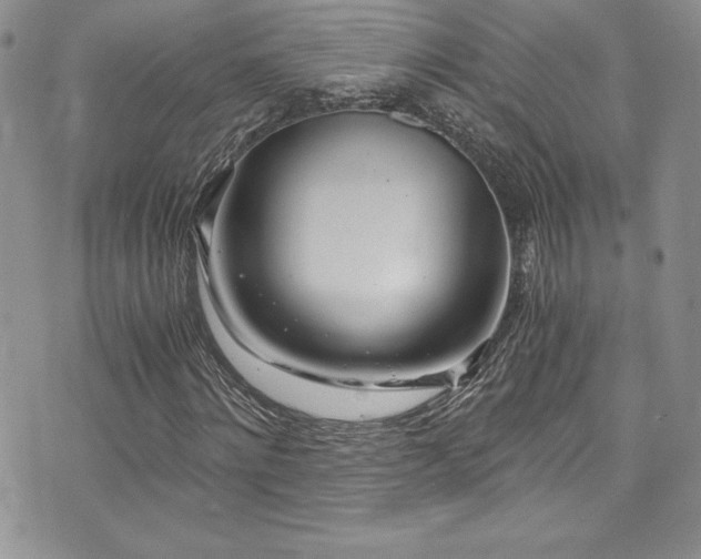 X0000073860868200608101248