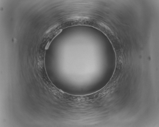 X0000073860869200608101248