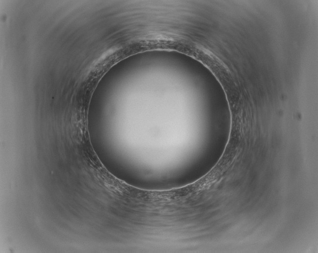 X0000073860870200608101248