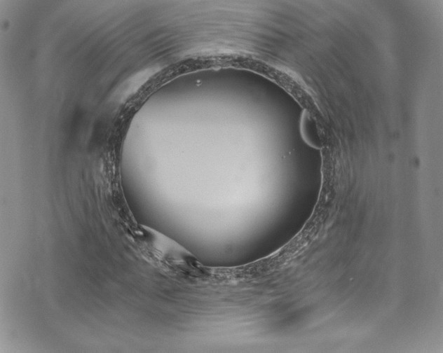 X0000073860871200608101248