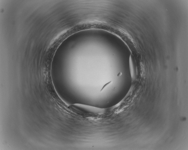 X0000073860872200608101248