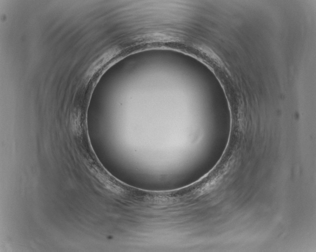 X0000073860873200608101248