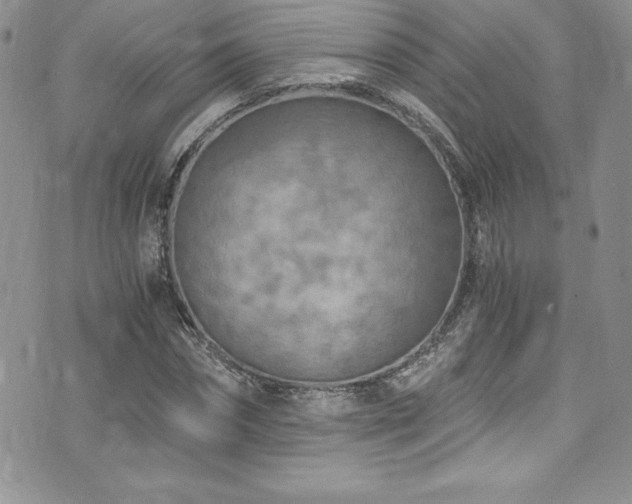 X0000073860874200608101248