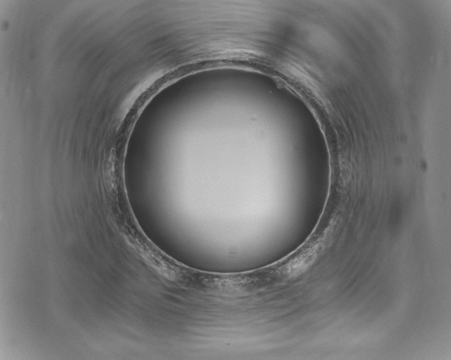 X0000073860875200608101248