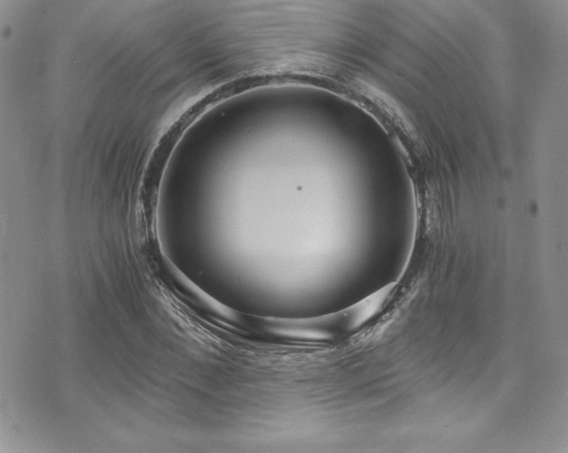 X0000073860876200608101248