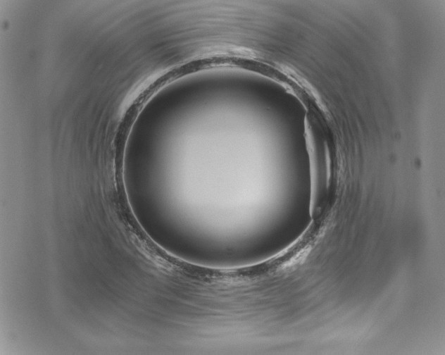 X0000073860877200608101248