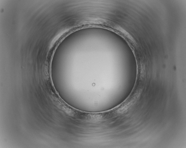 X0000073860878200608101248