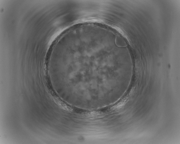 X0000073860879200608101248