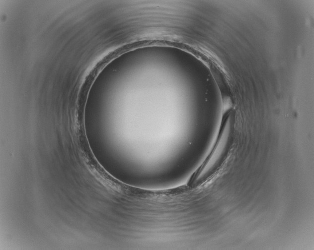 X0000073860880200608101248