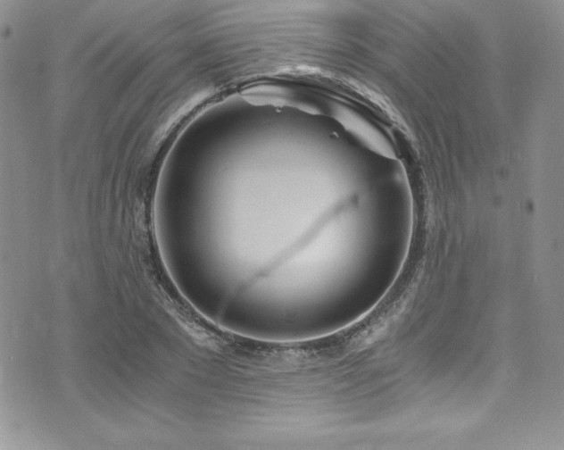 X0000073860881200608101248