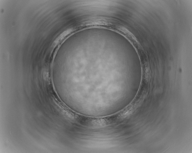 X0000073860882200608101248