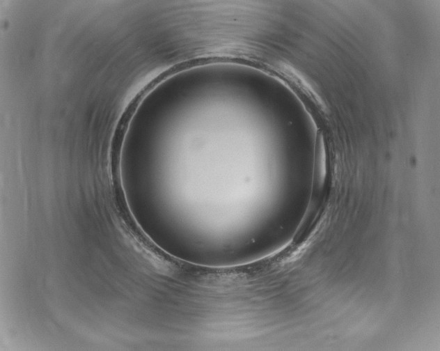 X0000073860884200608101248