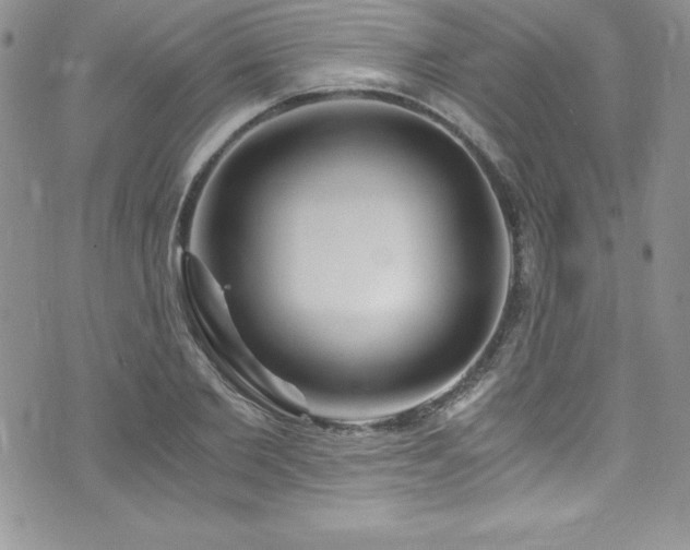 X0000073860885200608101248