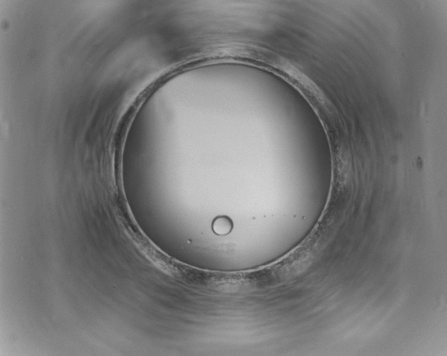 X0000073860886200608101248