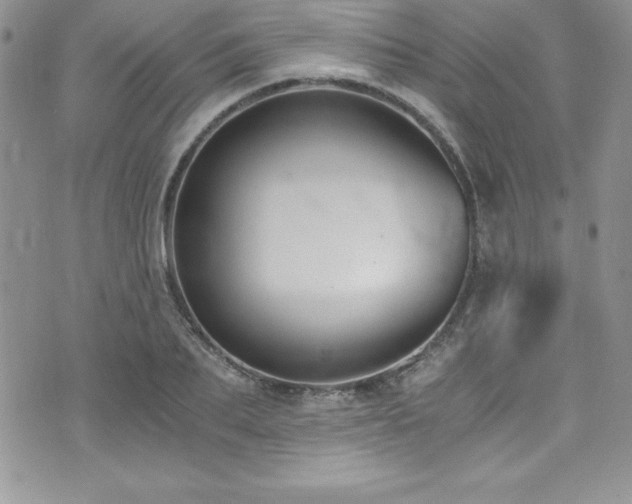 X0000073860887200608101247