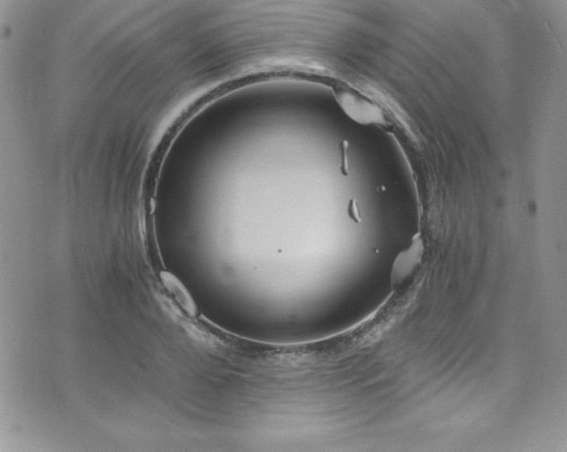 X0000073860888200608101247