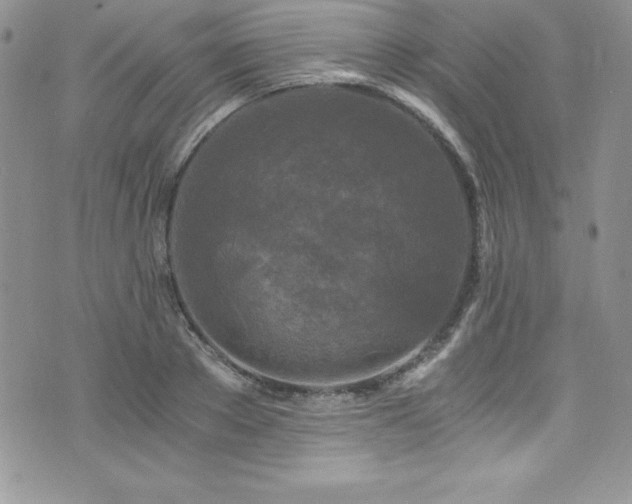 X0000073860889200608101247