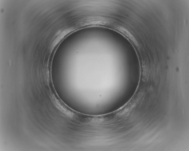 X0000073860890200608101247