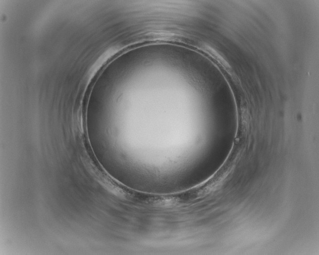 X0000073860891200608101247