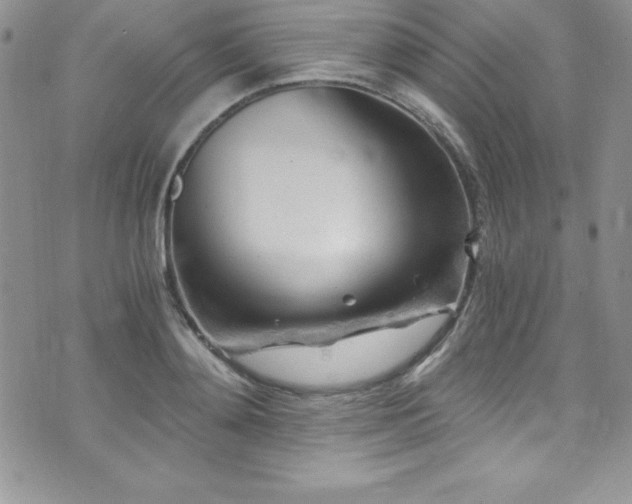 X0000073860892200608101247