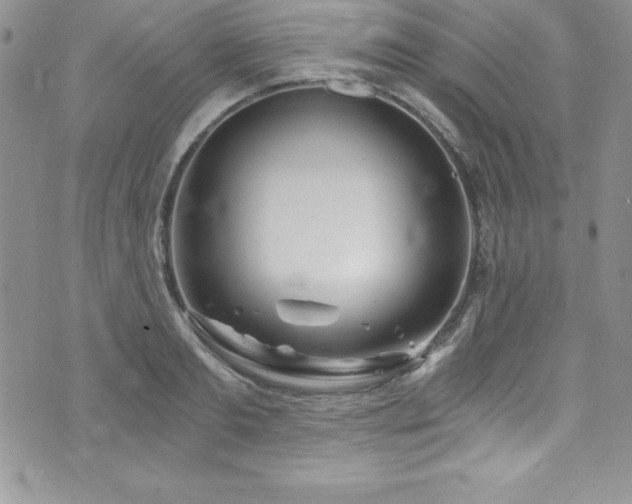 X0000073860893200608101247