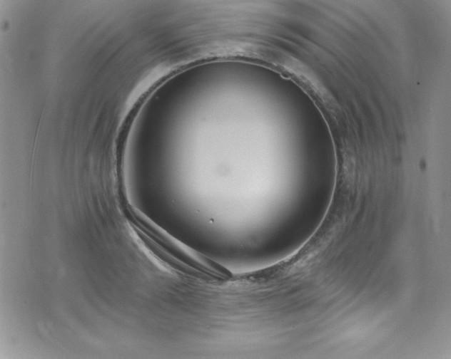 X0000073860894200608101247