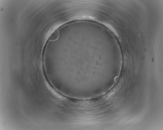 X0000073860895200608101247