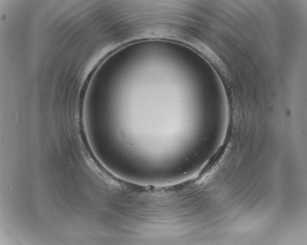 X0000073860896200608101247