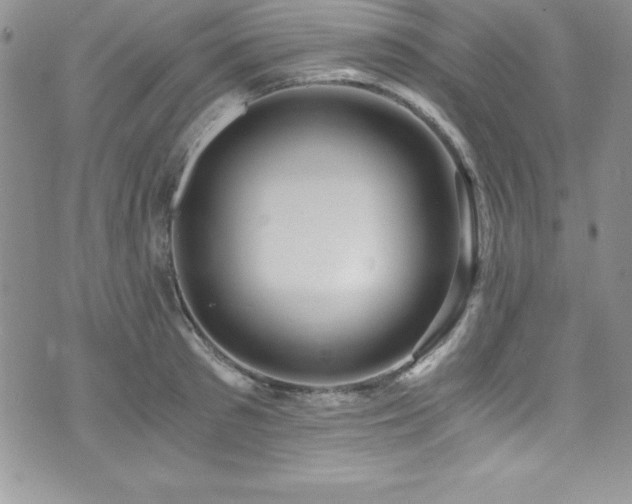 X0000073860897200608101247