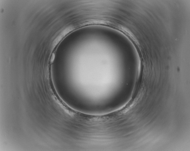 X0000073860898200608101247