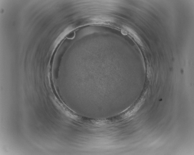 X0000073860899200608101247