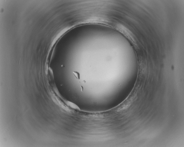 X0000073860900200608101247