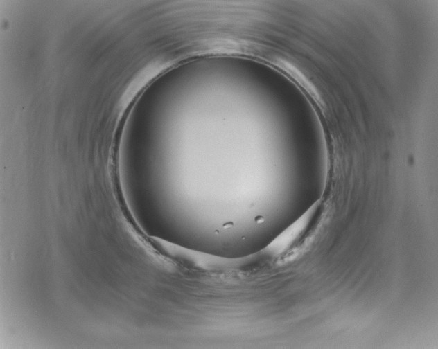 X0000073860901200608101247