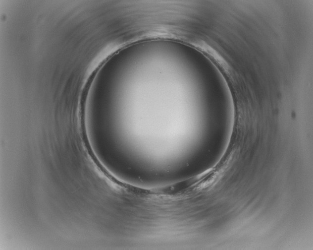 X0000073860902200608101247