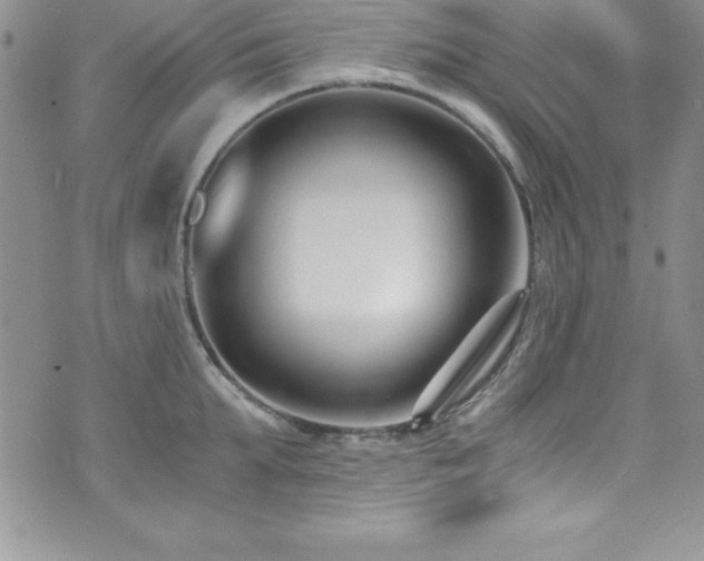 X0000073860903200608101247