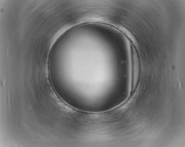 X0000073860904200608101247