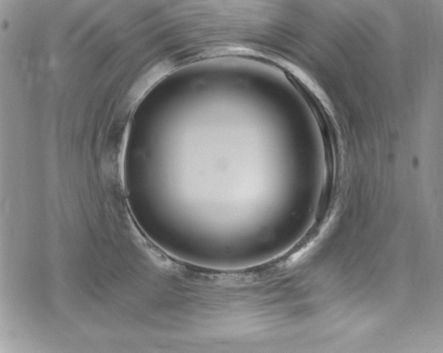 X0000073860905200608101247