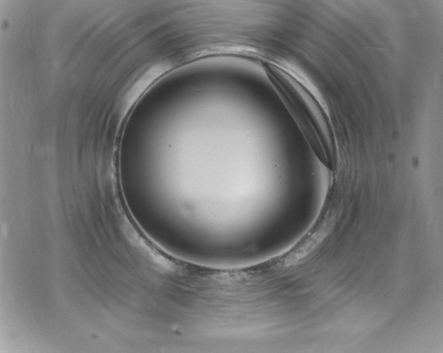 X0000073860906200608101247