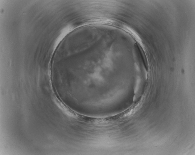 X0000073860907200608101247