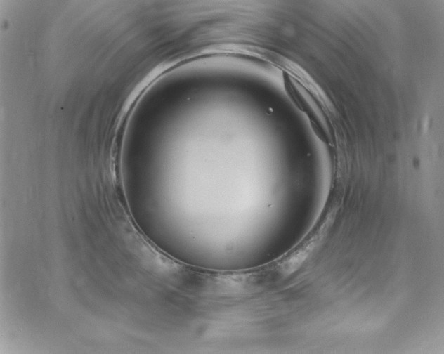 X0000073860908200608101247