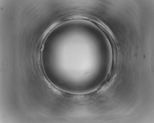 X0000073860909200608101247