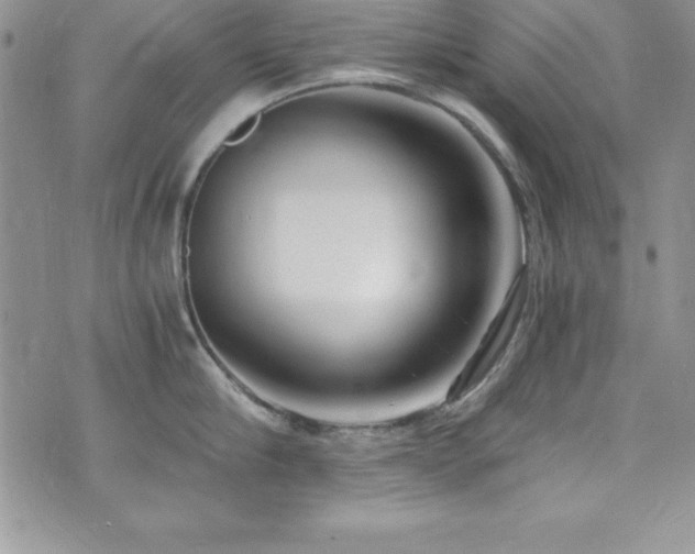 X0000073860910200608101247