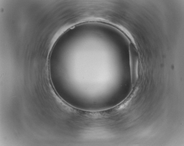 X0000073860911200608101247