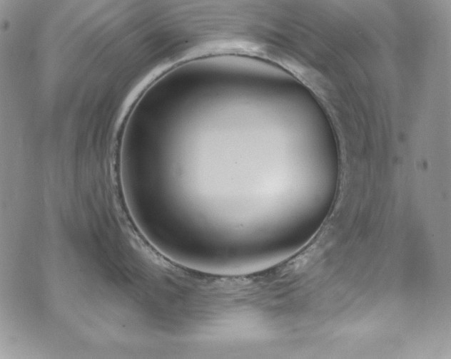 X0000073860912200608101247