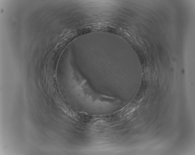 X0000073860913200608101246