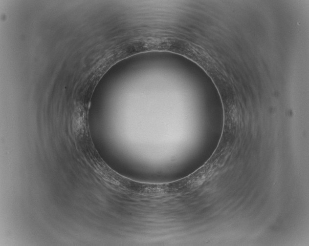 X0000073860914200608101246