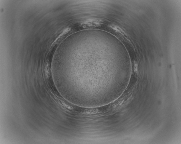 X0000073860915200608101246